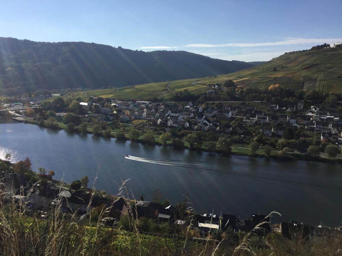 Apartment Mosel-appartements Nehren
