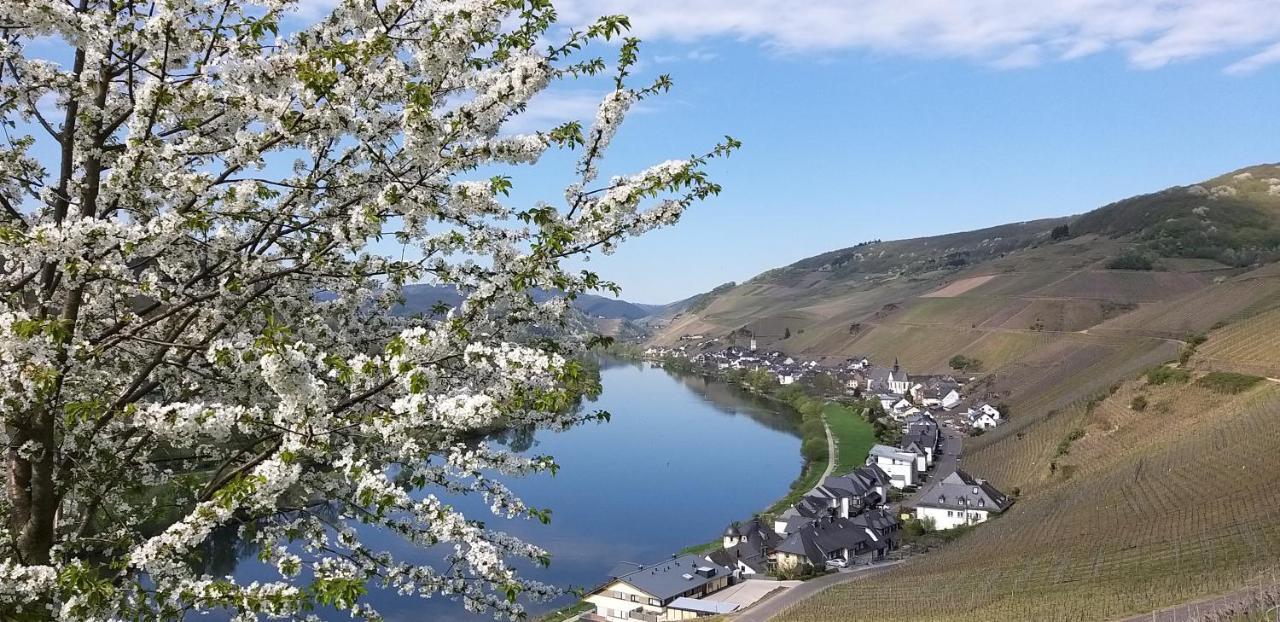 Apartment Mosel-appartements Nehren Zell